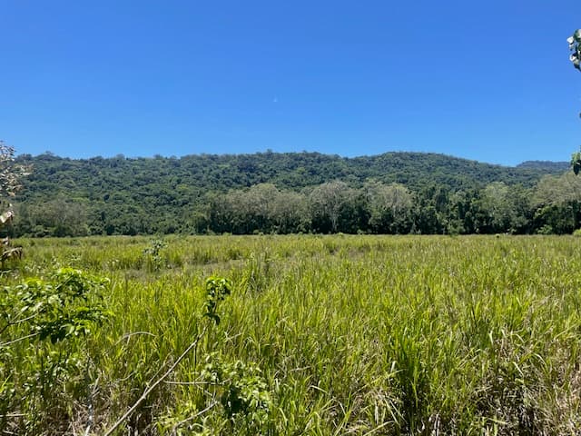 12 Pine Creek – Yarrabah Road, East Trinity, QLD, 4871, East Trinity - Thumbnail 8