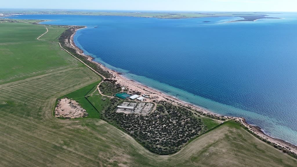 726 Little Islands Road, Streaky Bay, SA, 5680, Streaky Bay - Thumbnail 4