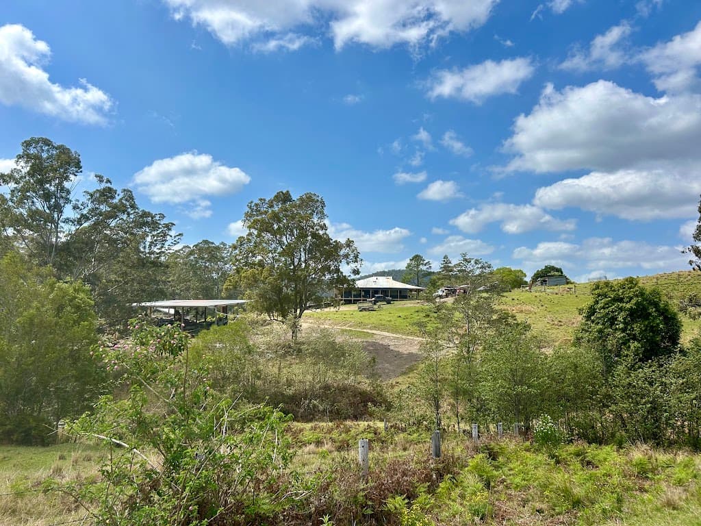 362 Sharkeys Road, Frazers Creek, NSW, 2446, Frazers Creek - Thumbnail 7
