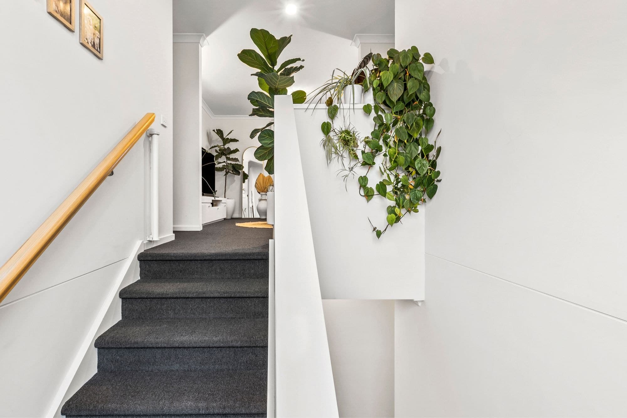 13 Booker Place,ARMSTRONG CREEK, Armstrong Creek - Thumbnail 8