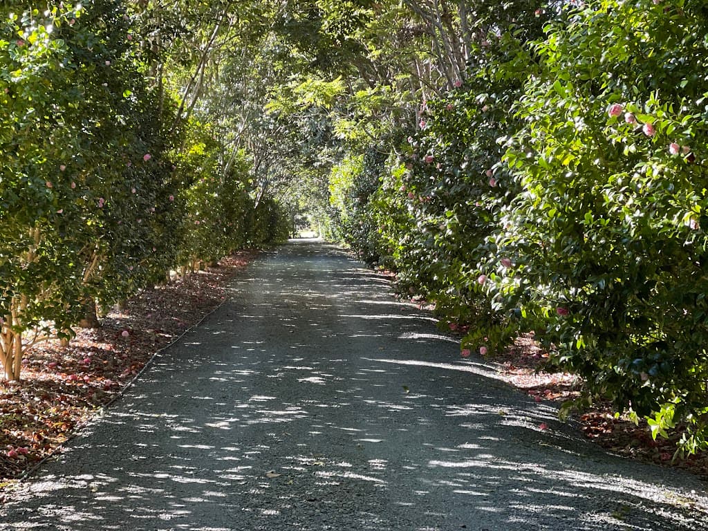 68-72 Main Western Road, Tamborine Mountain - Thumbnail 3