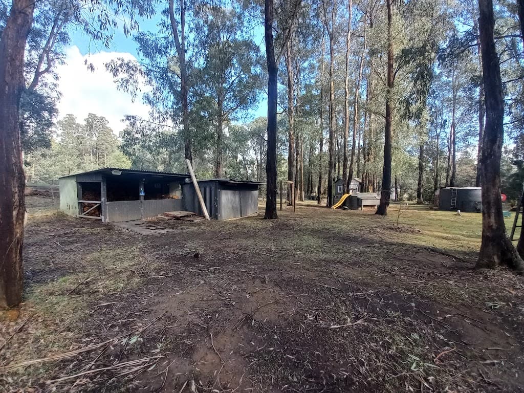 27 Lever Street, Narbethong, VIC, 3778, Narbethong - Thumbnail 4