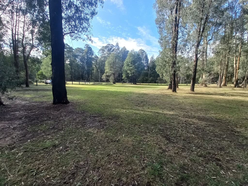 27 Lever Street, Narbethong, VIC, 3778, Narbethong - Thumbnail 7