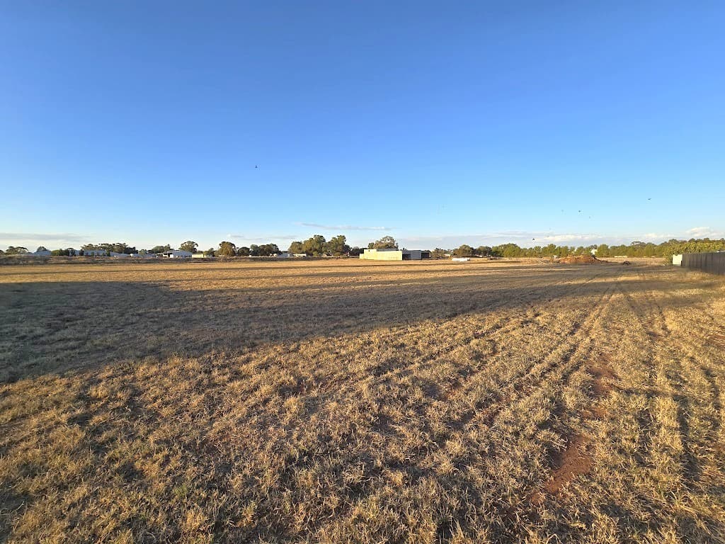 77 Boltes Lane, West Wyalong, NSW, 2671, West Wyalong - Thumbnail 2