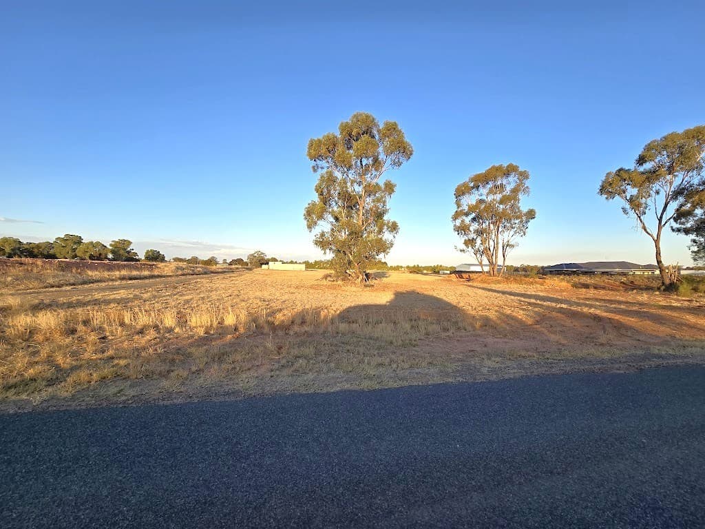 77 Boltes Lane, West Wyalong, NSW, 2671, West Wyalong - Thumbnail 5