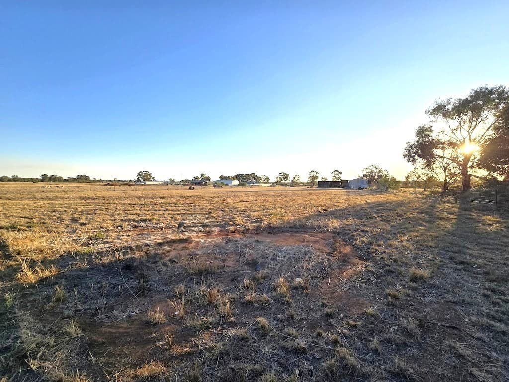 77 Boltes Lane, West Wyalong, NSW, 2671, West Wyalong - Thumbnail 6