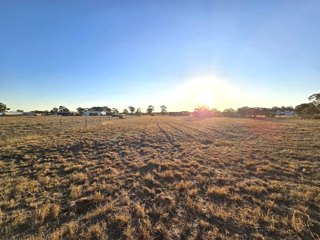 77 Boltes Lane, West Wyalong, NSW, 2671, West Wyalong - Thumbnail 7