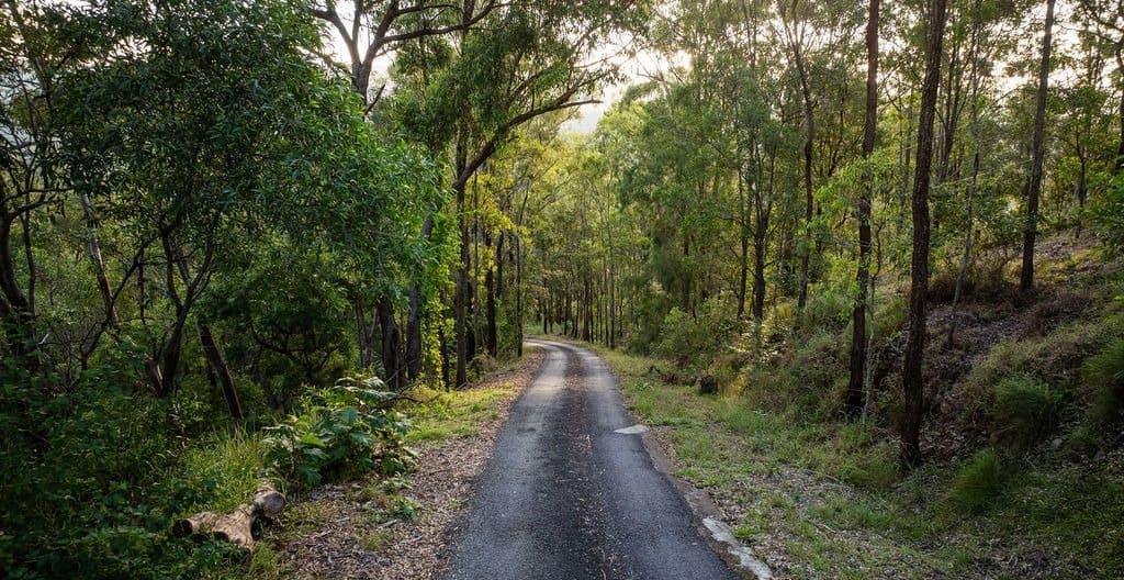 94 Holyrood Road, Maudsland, QLD, 4210, Maudsland - Image 1