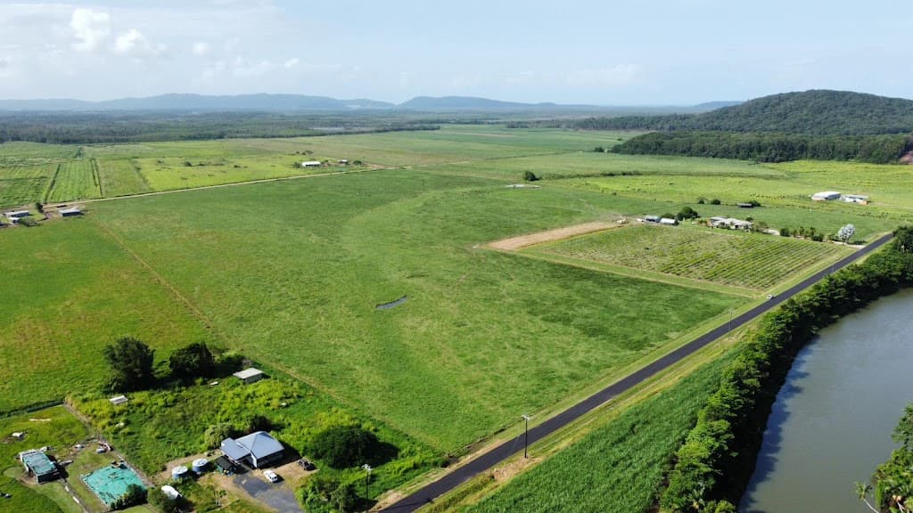 66 Gangemi Road, Lower Cowley, QLD, 4871, Lower Cowley - Thumbnail 3
