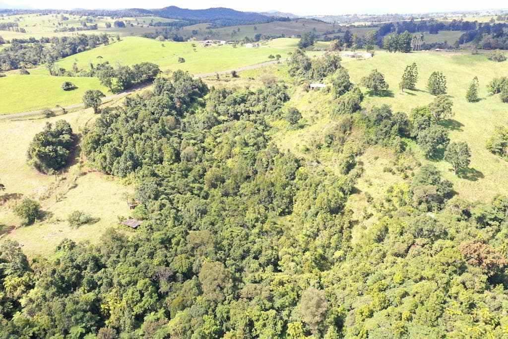 581 Theresa Creek Road, Millaa Millaa, QLD, 4886, Millaa Millaa - Image 1