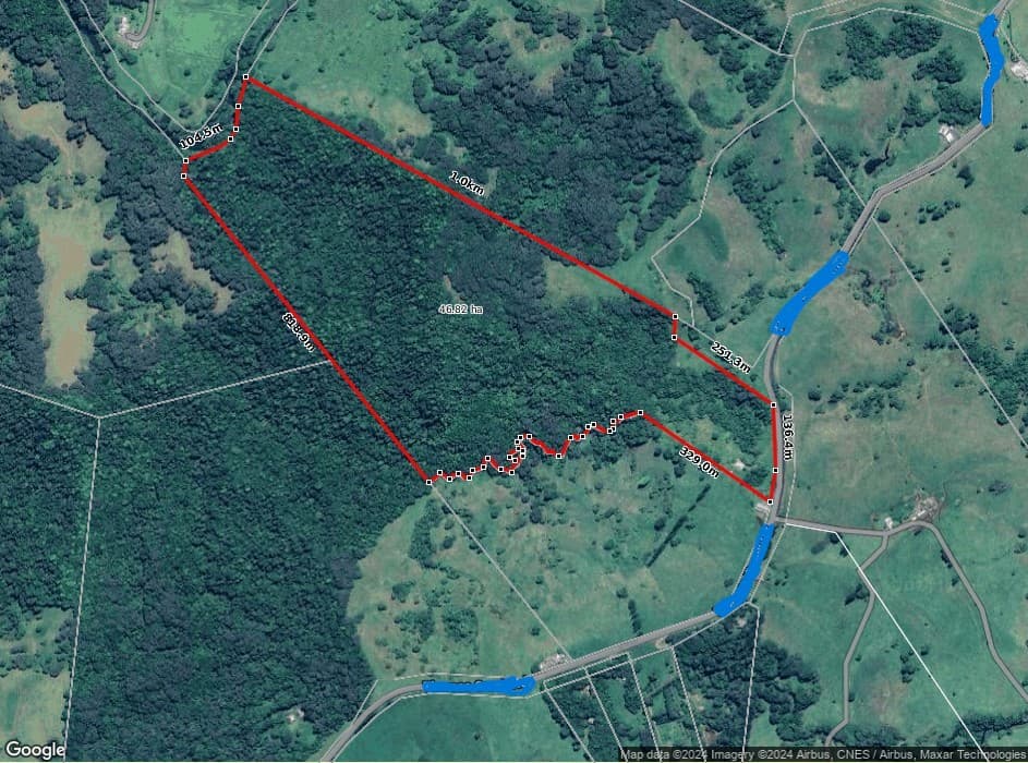 581 Theresa Creek Road, Millaa Millaa, QLD, 4886, Millaa Millaa - Thumbnail 4