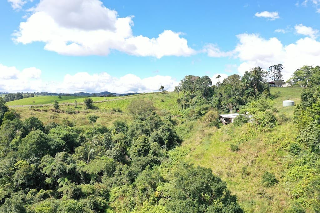 581 Theresa Creek Road, Millaa Millaa, QLD, 4886, Millaa Millaa - Thumbnail 5