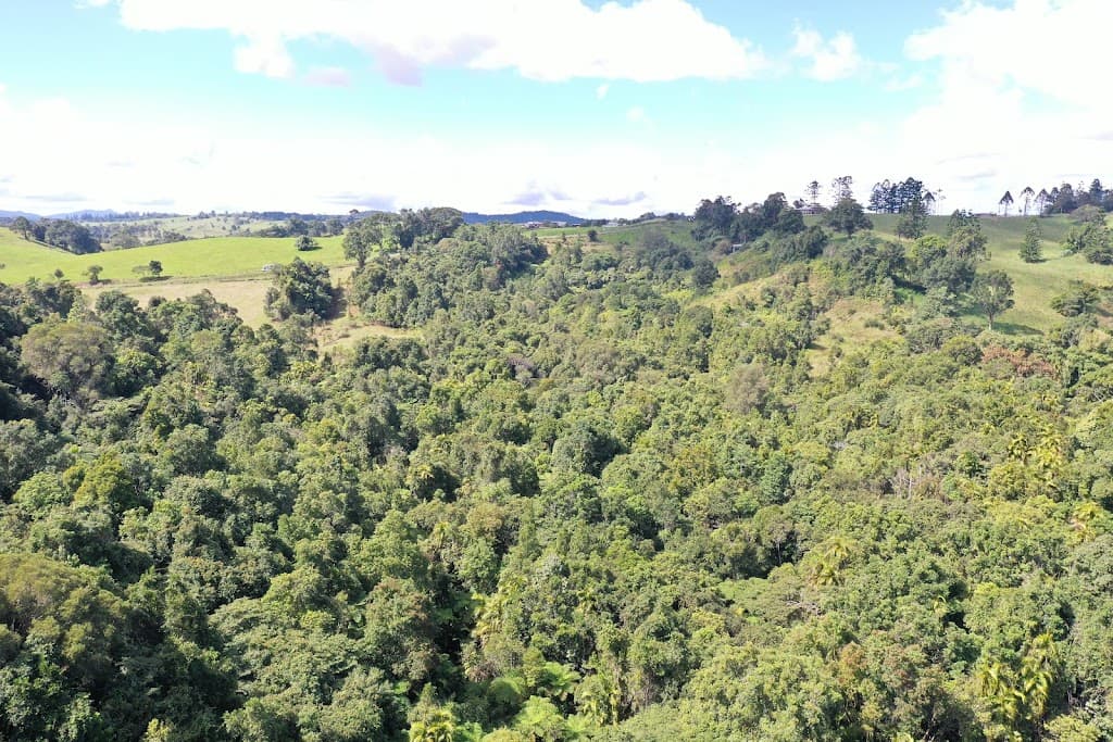 581 Theresa Creek Road, Millaa Millaa, QLD, 4886, Millaa Millaa - Thumbnail 6