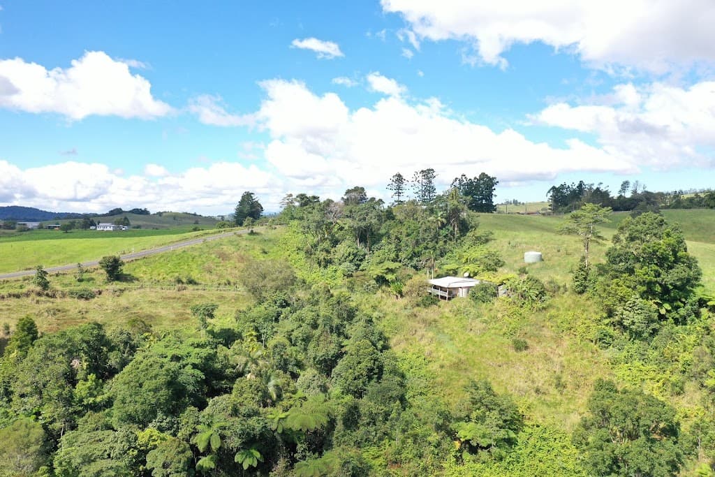 581 Theresa Creek Road, Millaa Millaa, QLD, 4886, Millaa Millaa - Thumbnail 8