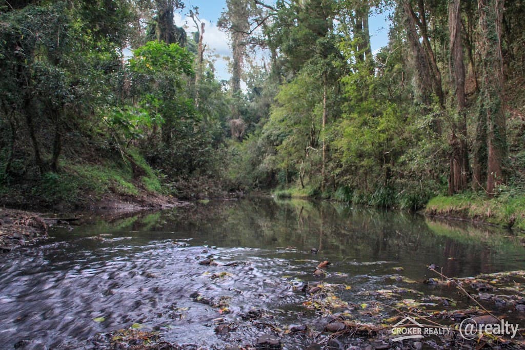 Lot 23 Hillyards Road, Boorabee Park, NSW, 2480, Boorabee Park - Thumbnail 3
