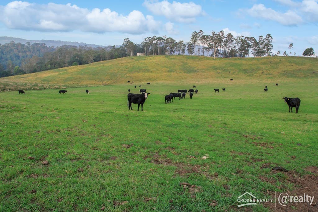 Lot 23 Hillyards Road, Boorabee Park, NSW, 2480, Boorabee Park - Thumbnail 6