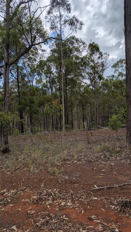 Barrs Road, Bucca, QLD, 4670, Bucca - Thumbnail 7