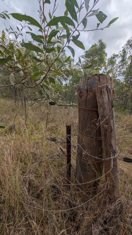 Barrs Road, Bucca, QLD, 4670, Bucca - Thumbnail 8