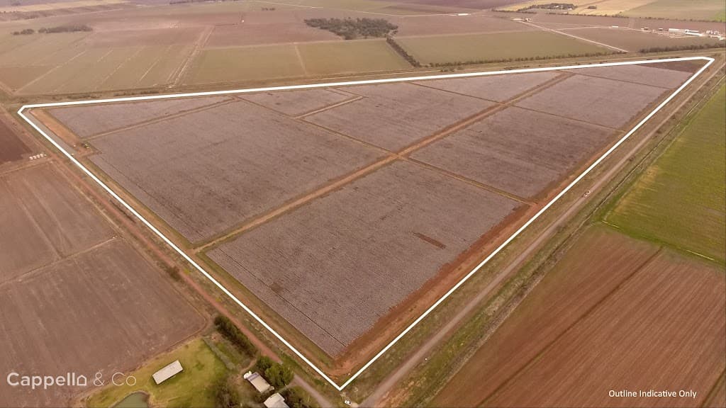 Part Farm 1082, 1386 Murrami Road, Leeton, NSW, 2705, Leeton - Thumbnail 4