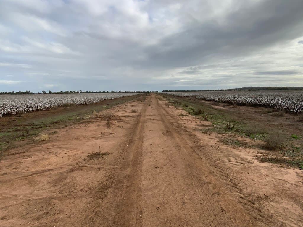 Part Farm 1082, 1386 Murrami Road, Leeton, NSW, 2705, Leeton - Thumbnail 6