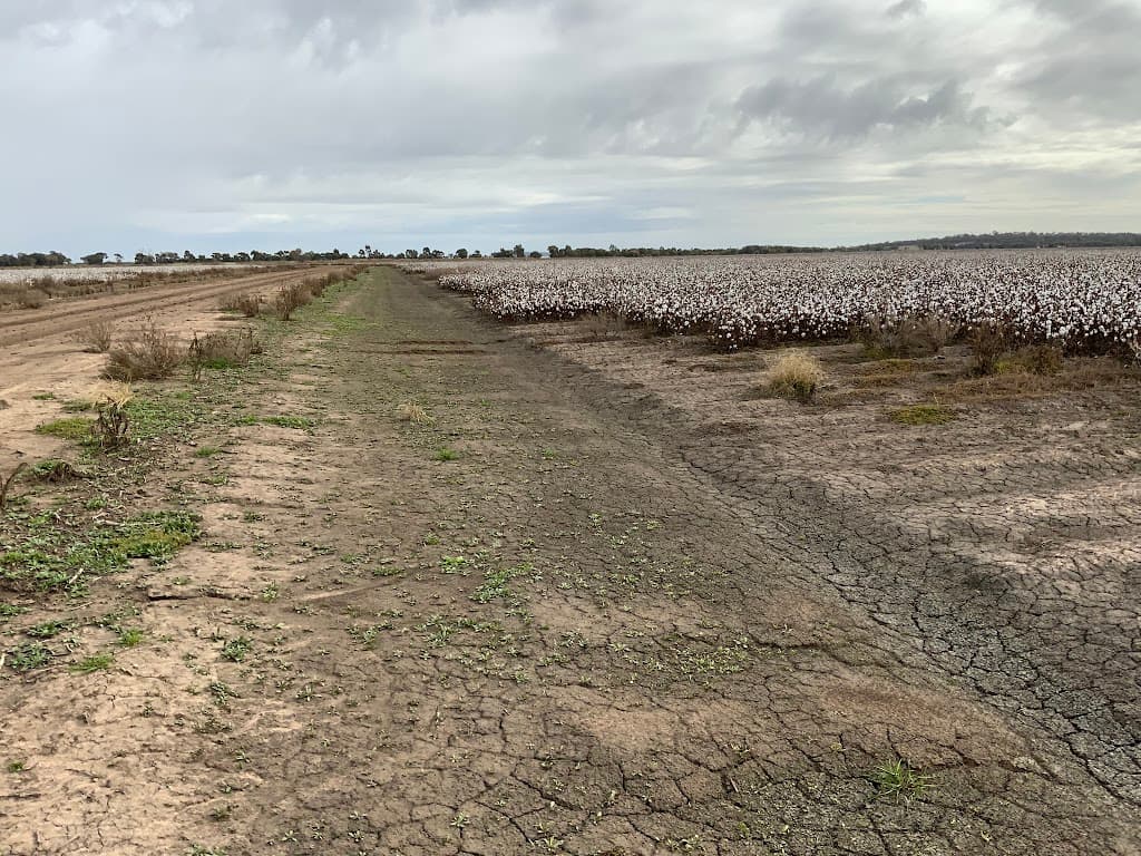 Part Farm 1082, 1386 Murrami Road, Leeton, NSW, 2705, Leeton - Thumbnail 7