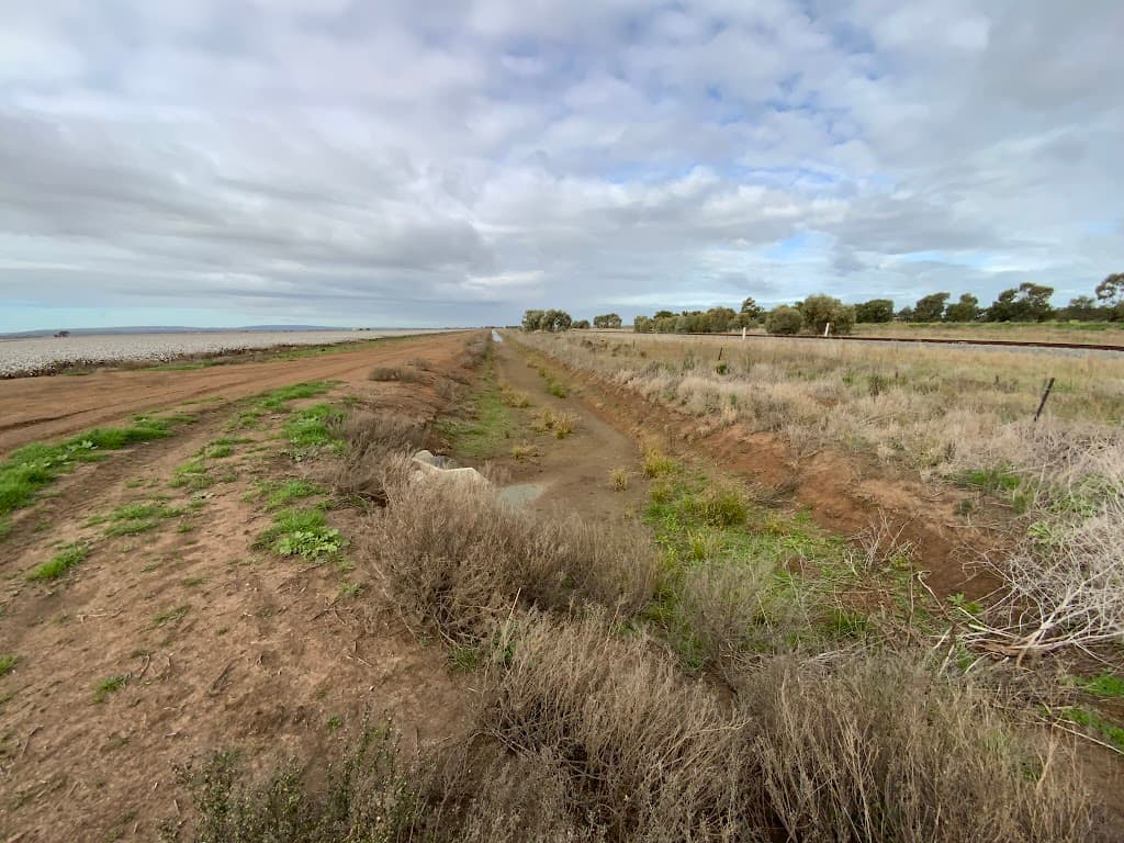 Part Farm 1082, 1386 Murrami Road, Leeton, NSW, 2705, Leeton - Thumbnail 8