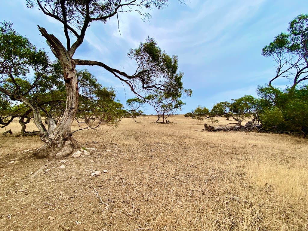 Lots 279 to 285 Aitchison Road, Streaky Bay, SA, 5680, Streaky Bay - Image 1