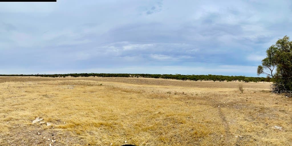 Lots 279 to 285 Aitchison Road, Streaky Bay, SA, 5680, Streaky Bay - Thumbnail 3