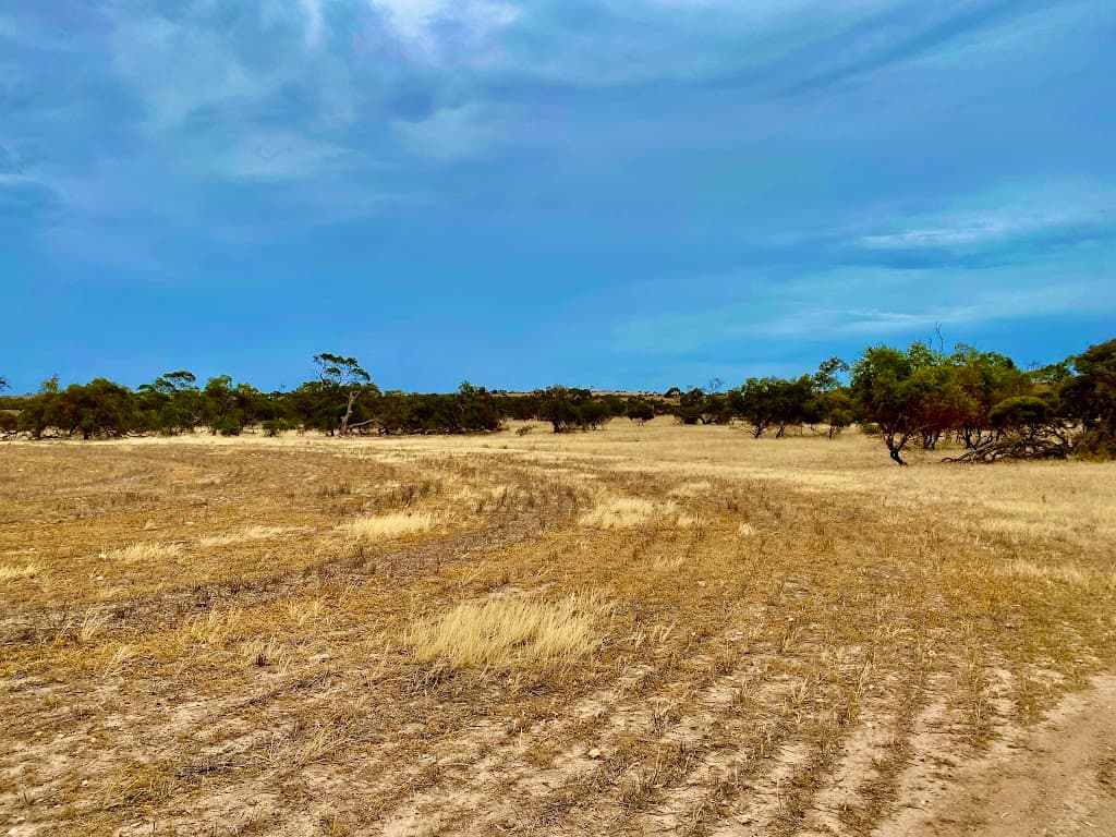 Lots 279 to 285 Aitchison Road, Streaky Bay, SA, 5680, Streaky Bay - Thumbnail 4