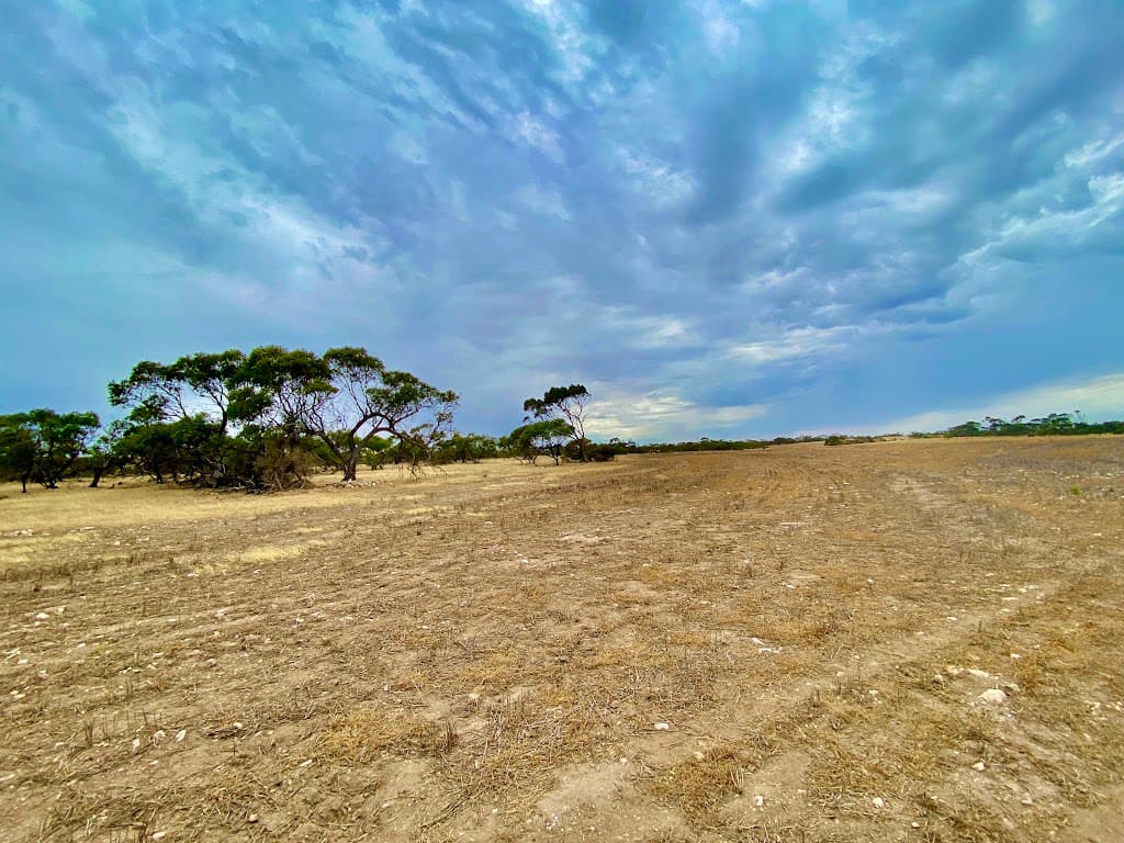 Lots 279 to 285 Aitchison Road, Streaky Bay, SA, 5680, Streaky Bay - Thumbnail 6