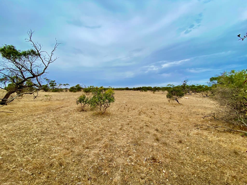 Lots 279 to 285 Aitchison Road, Streaky Bay, SA, 5680, Streaky Bay - Thumbnail 7