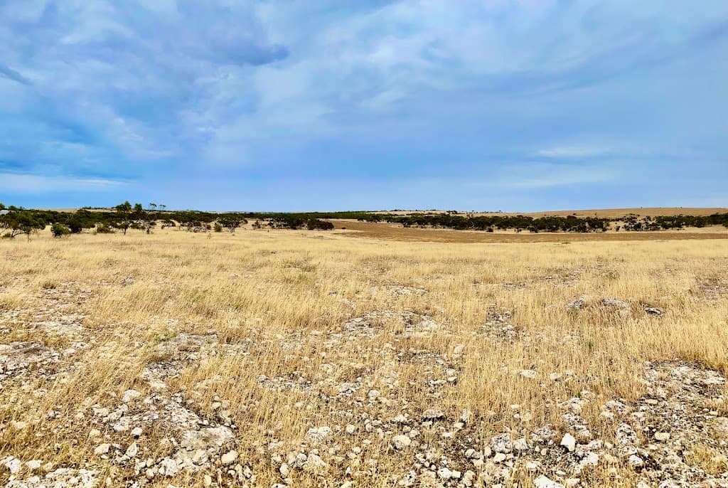 Lots 279 to 285 Aitchison Road, Streaky Bay, SA, 5680, Streaky Bay - Thumbnail 8