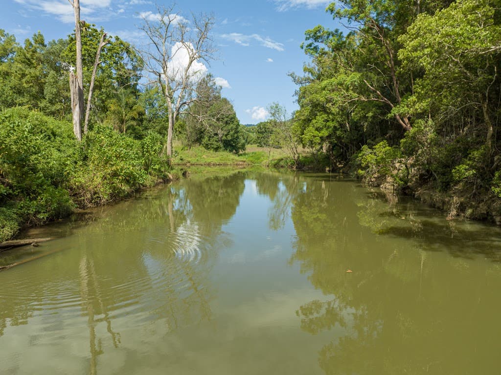 75 Thorburn Street, Nimbin, NSW, 2480, Nimbin - Thumbnail 6