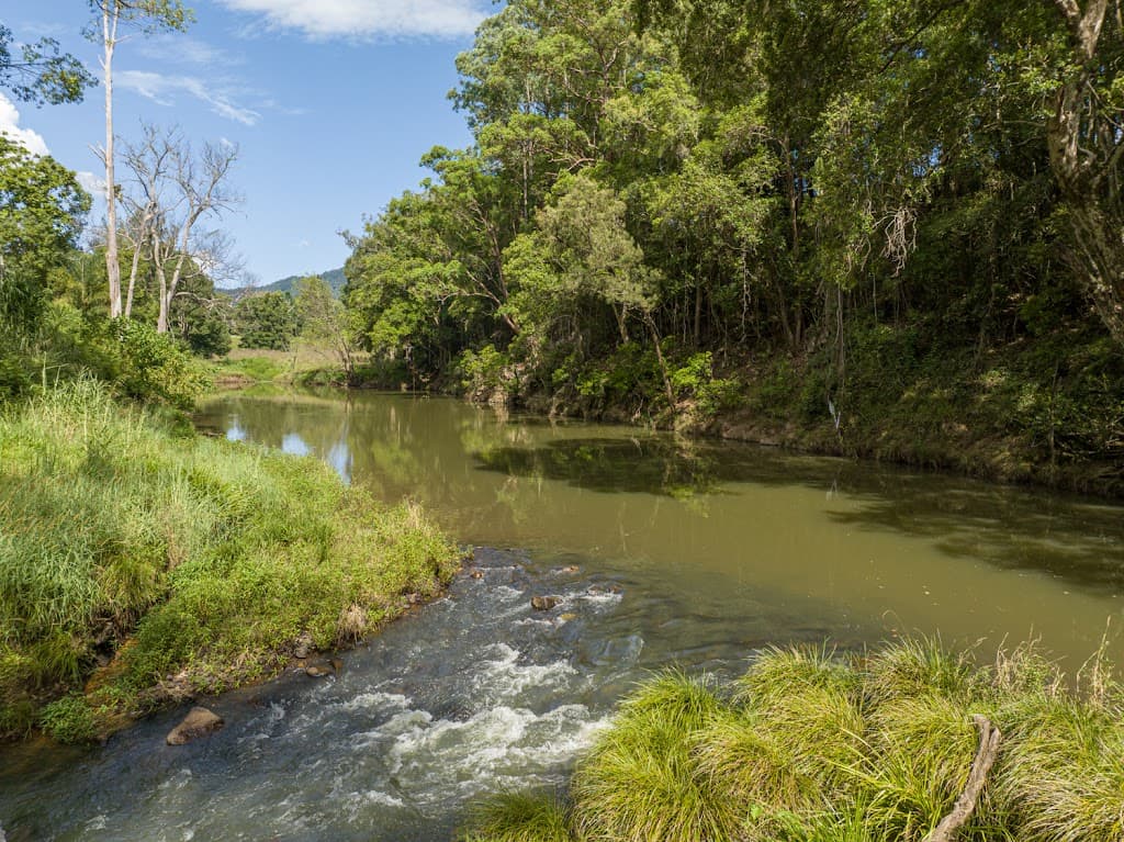 75 Thorburn Street, Nimbin, NSW, 2480, Nimbin - Thumbnail 7
