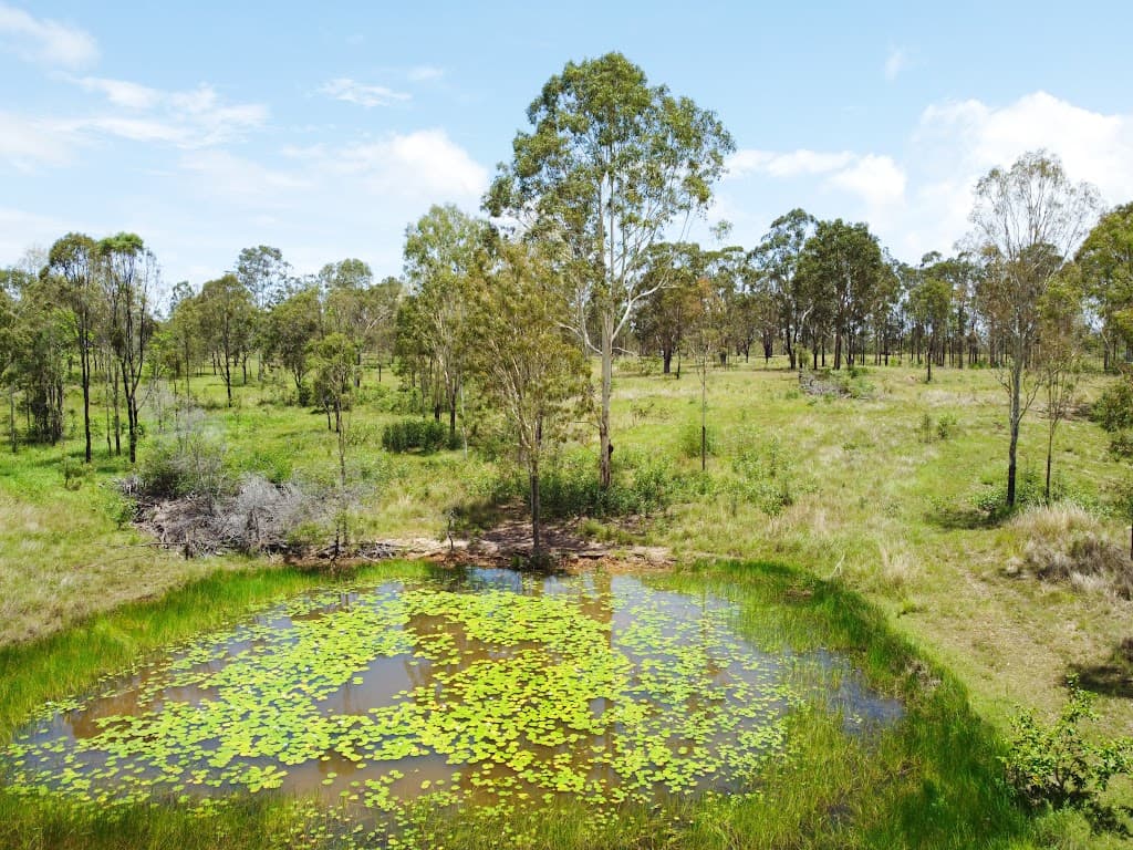 l3/459 Ferry Road, Rosedale, QLD, 4674, Rosedale - Image 1