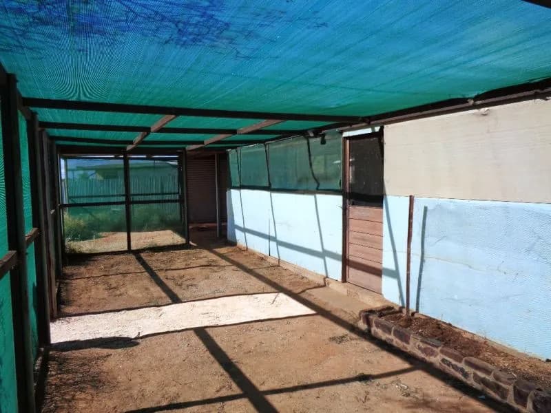 97 Cassia Street, Coober Pedy, SA, 5723, Coober Pedy - Thumbnail 3