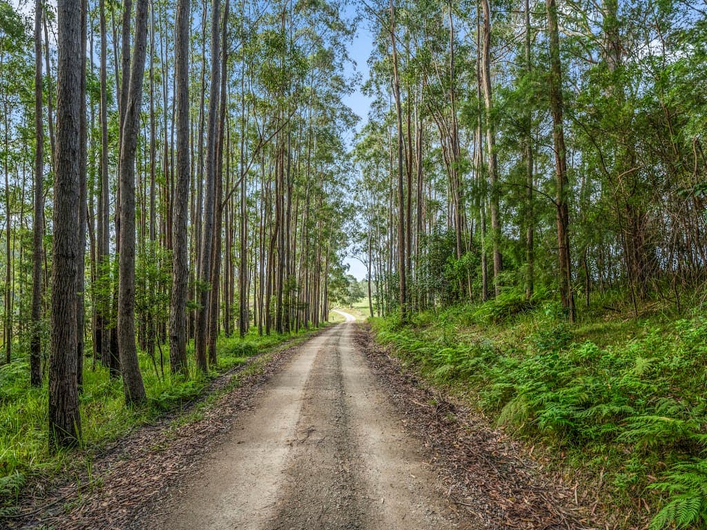 1129 Martells Road, Urunga, NSW, 2455, Urunga - Thumbnail 5