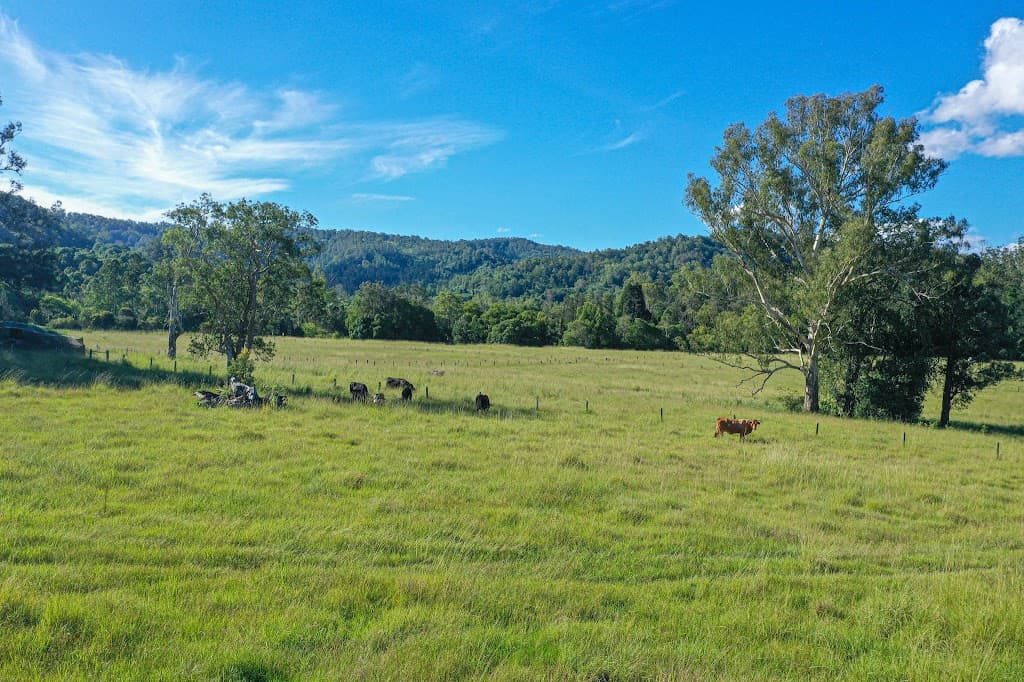 5311 Kyogle Road, Cawongla, NSW, 2474, Cawongla - Thumbnail 7