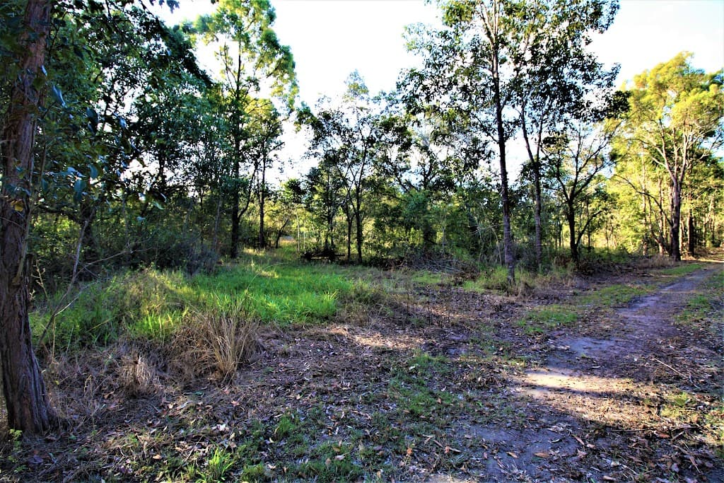 700 Booyan Road, MOORE PARK BEACH, QLD, 4670, Moore Park Beach - Image 1