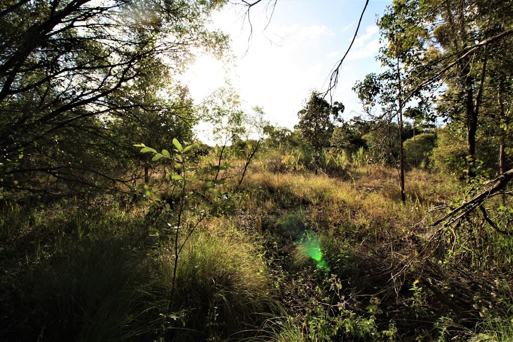 700 Booyan Road, MOORE PARK BEACH, QLD, 4670, Moore Park Beach - Thumbnail 2