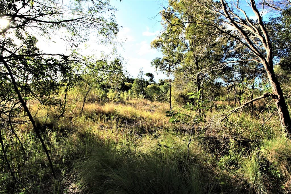 700 Booyan Road, MOORE PARK BEACH, QLD, 4670, Moore Park Beach - Thumbnail 3