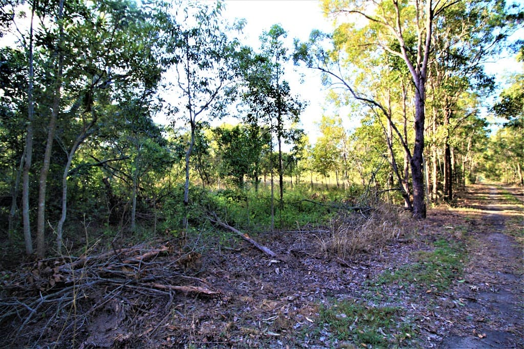 700 Booyan Road, MOORE PARK BEACH, QLD, 4670, Moore Park Beach - Thumbnail 4