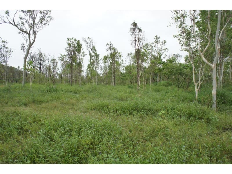 140 Toscavale Road, Black River, QLD, 4818, Black River - Thumbnail 4