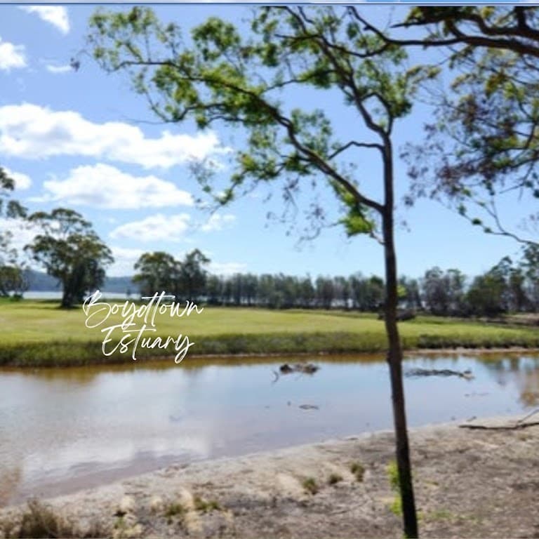 122 Ben Boyd Parade, Boydtown, NSW, 2551, Boydtown - Thumbnail 6