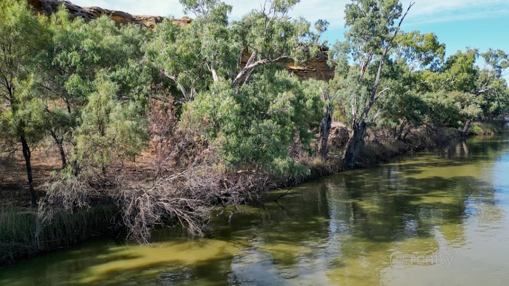 3 Idyll Avenue, Murbko, SA, 5320, Murbko - Thumbnail 4