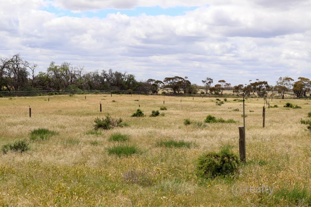 3 Idyll Avenue, Murbko, SA, 5320, Murbko - Thumbnail 8
