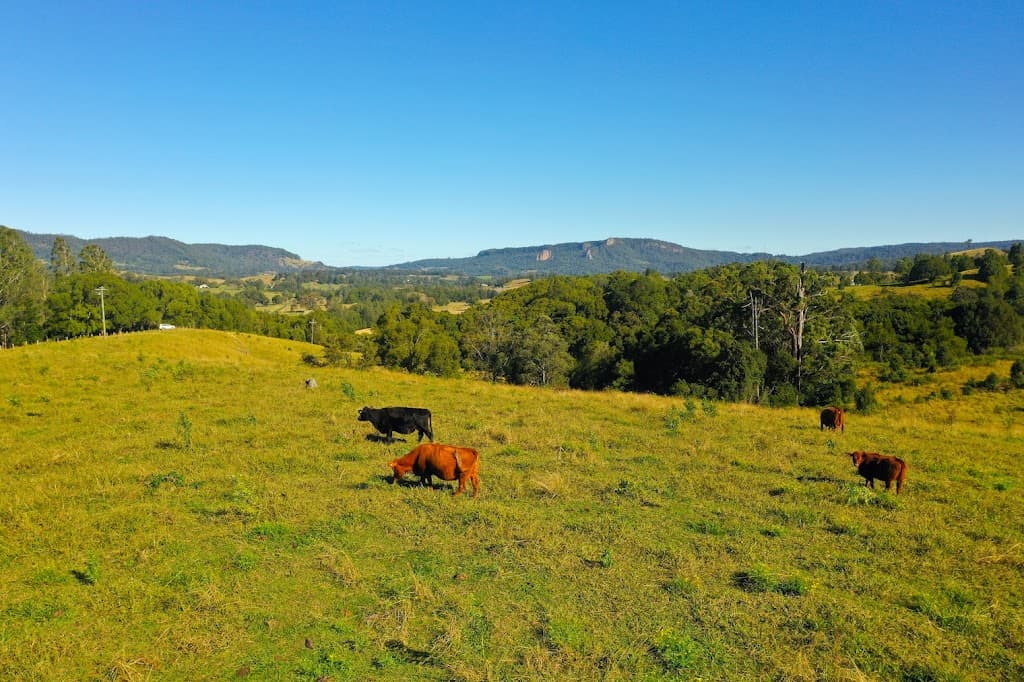 5 Hensen Road, Nimbin, NSW, 2480, Nimbin - Thumbnail 4