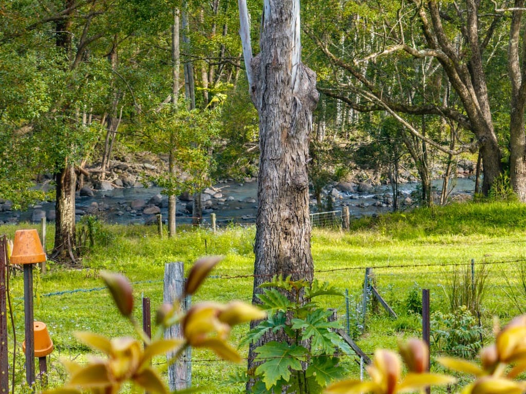 5 Hensen Road, Nimbin, NSW, 2480, Nimbin - Thumbnail 7