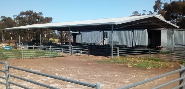 265 Yenart Road, New Norcia, WA, 6509, New Norcia - Thumbnail 8