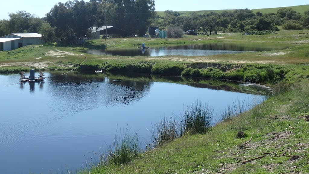 2964 Yerramullah Road, Badgingarra, WA, 6521, Hill River - Thumbnail 3